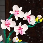 Orchid bonsai architectural flowers building blocks
