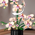 Orchid-themed creative floral accessories building blocks