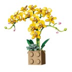 Urban Romantic Home Orchid Building Blocks