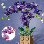 Urban Romantic Home Orchid Building Blocks