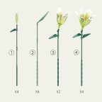 Pure White Lily Eternal Flower Bouquet Building Blocks